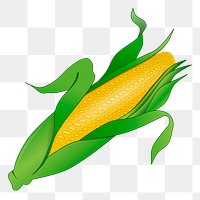 Corn, vegetable png sticker, transparent background. Free public domain CC0 image.