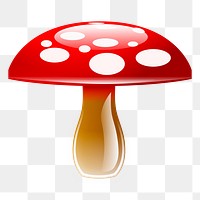 Wild mushroom png sticker, transparent background. Free public domain CC0 image.