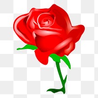 Red rose png sticker, transparent background. Free public domain CC0 image.