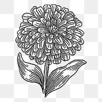 Zinnia flower png sticker, transparent background. Free public domain CC0 image.