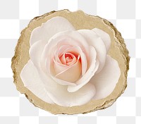 Pink rose flower png sticker, ripped paper, transparent background