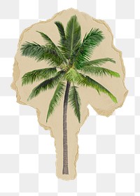 Palm tree png sticker, ripped paper, transparent background