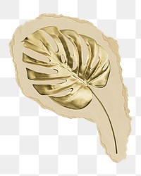 Gold monstera leaf png sticker, ripped paper, transparent background