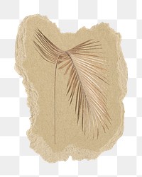 Gold palm leaf branch png sticker, ripped paper, transparent background