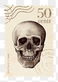 Png skull post stamp sticker, vintage dark academia, transparent background