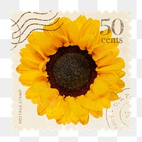 Png sunflower postage stamp sticker, vintage flower, transparent background