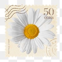Daisy png postage stamp sticker, vintage flower, transparent background 
