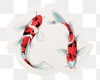 Koi fish png sticker, animal illustration cut out in transparent background