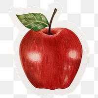 Apple png sticker, transparent background