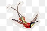 PNG vintage bird illustration sticker, collage element in transparent background