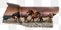 Horses washi tape png sticker, collage element, transparent background