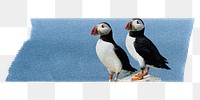Puffin birds washi tape png sticker, collage element, transparent background