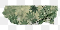 Leaves washi tape png sticker, collage element, transparent background