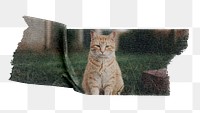 Cat washi tape png sticker, collage element, transparent background
