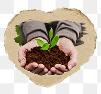 Hands cupping plant png sticker, ripped paper, transparent background