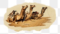 PNG Group of camels, collage element, transparent background