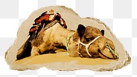 Camel animal png sticker, ripped paper, transparent background