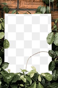 Poster png mockup, transparent design