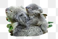 PNG Koala with baby on a tree branch, collage element, transparent background