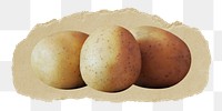 Potatoes png sticker, ripped paper transparent background