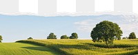 Summer field png border, torn paper design, transparent background