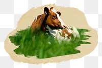 PNG cow on a meadow , collage element, transparent background