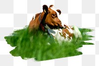 PNG cow on a meadow , collage element, transparent background