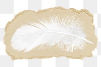 Bird feather png sticker, ripped paper, transparent background