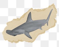 Hammerhead shark png sticker, ripped paper, transparent background