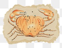 Crab constellation png sticker, ripped paper, transparent background