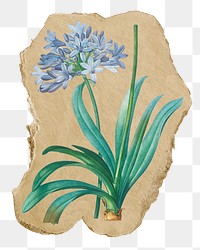 Blue flower png sticker, ripped paper, transparent background