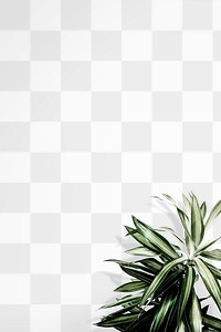 Plant border png wall mockup, transparent design