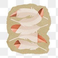 Bird feathers png sticker, ripped paper, transparent background