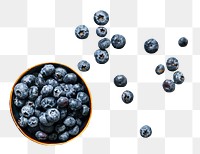 Blueberry bowl png sticker, fruit cut out, transparent background