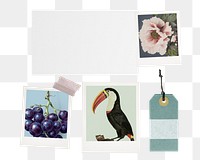 Png aesthetic mood board sticker, instant photo, transparent background