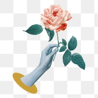 Hand holding rose png sticker, transparent background