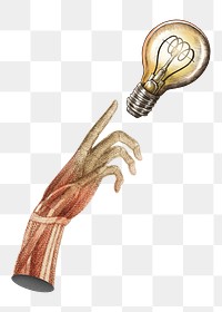 Hand reaching light bulb png sticker, transparent background