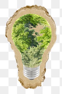 Tree light bulb png sticker, ripped paper, transparent background