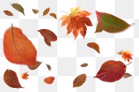 Floating Autumn png leaves sticker, Fall season aesthetic, transparent background