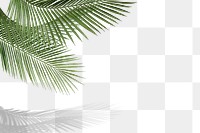 Palm leaf png border, transparent background