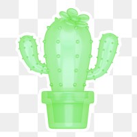 Cactus  png sticker, transparent background