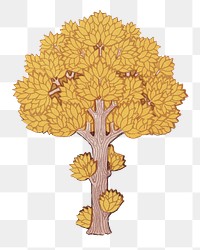 Yellow tree png sticker, vintage botanical illustration, transparent background