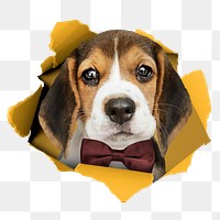 Cute dog png sticker, ripped paper design, transparent background