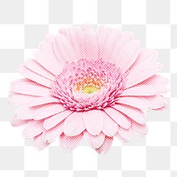 Daisy png sticker, pink design, transparent background
