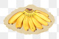 Banana png sticker, ripped paper, transparent background