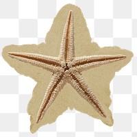 Starfish skeleton png sticker, ripped paper, transparent background