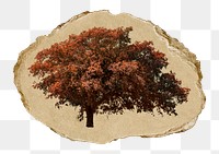 Autumn tree png ripped paper sticker, transparent background