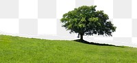 Green tree hill png border, torn paper design, transparent background