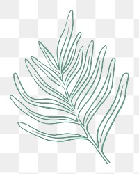 Green leaf png sticker line art illustration, transparent background