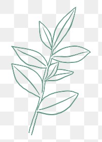 Green leaf png sticker line art illustration, transparent background